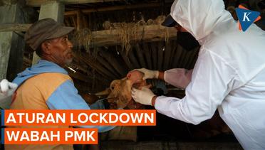 Jokowi Perintahkan Lockdown Daerah Berstatus Merah PMK