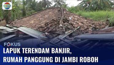 Lapuk Akibat Terendam Banjir, Rumah Panggung Milik Warga di Jambi Roboh | Fokus