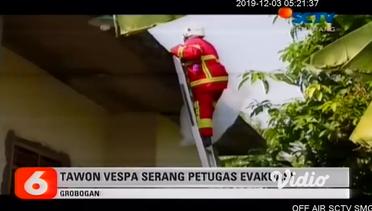 BPBD Grobogan Evakuasi Sarang Tawon Vespa