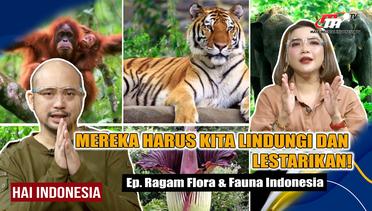 Kupas Tuntas Semua Ragam Flora dan Fauna Ter-Langka di Indonesia | Hai Indonesia