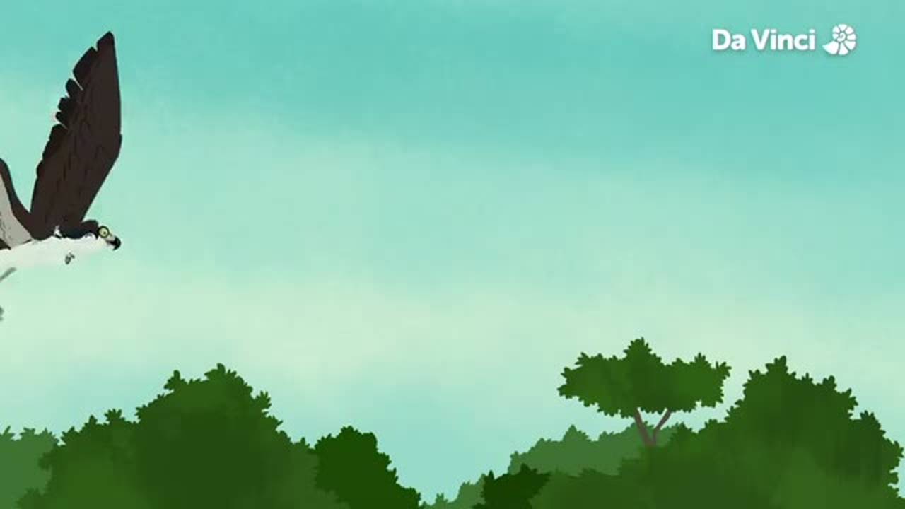 Wild Kratts - Ep 3 - Slider, the Otter (2022) | Vidio