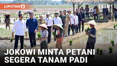 Masuki Musim Hujan, Presiden Jokowi Minta Petani Mulai Tanam Padi