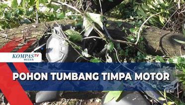 15 Motor Tertimpa Pohon Tumbang di Medan