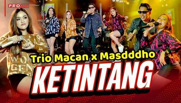 Trio Macan x Masdddho - Ketingtang (Official Music Video)