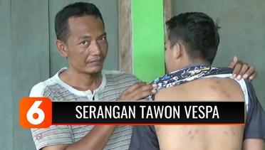 Ngilu! Dua Warga di Boyolali Disengat Kawanan Tawon Vespa saat Menebang Bambu | Liputan 6