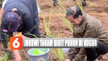 Cegah Longsor, Jokowi Tanam 90 Ribu Pohon di Bogor