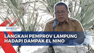 Langkah Pemprov Lampung Hadapi Dampak El Nino