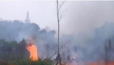 Segmen 2: Kebakaran Lahan Hanguskan Rumah Warga di Samarinda hingga Ratusan Hektare Kebun Sawit di Jambi Terbakar