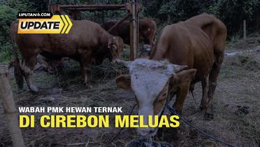 Liputan6 Update: Wabah PMK Hewan Ternak di Cirebon Meluas