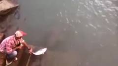 Pria Ini Mencoba Memancing Ikan Kerapu Raksasa Dengan Menaruh Umpan Ditangannya