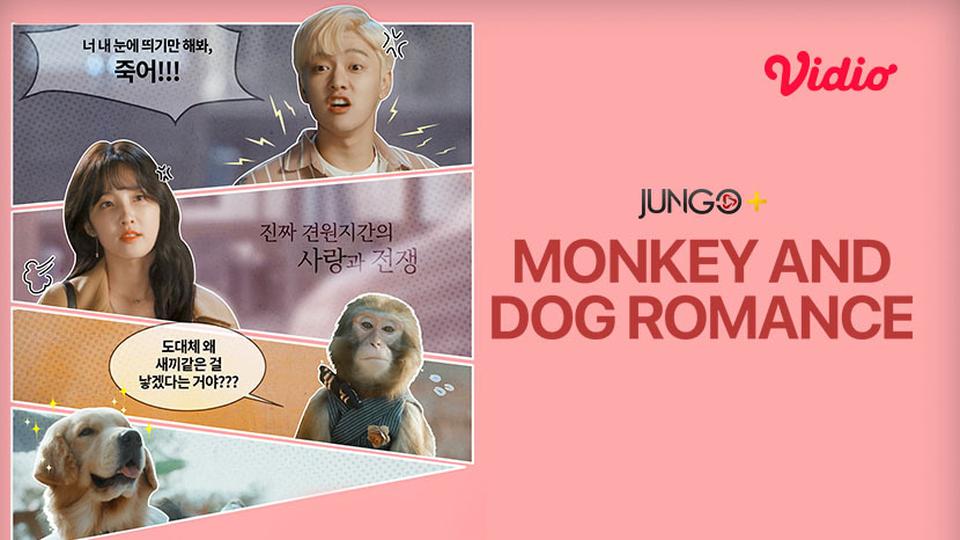 Monkey And Dog Romance