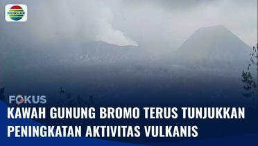 Aktivitas Vulkanis di Kawah Gunung Bromo Kian Meningkat, TNBTS Imbau Wisawatan Mendekat | Fokus