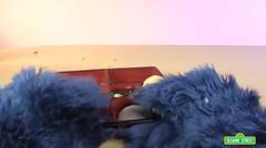 Sesame Street - Unboxing A Bento Box with Cookie Monster