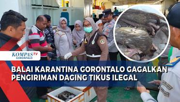 Balai Karantina Gagalkan Pengiriman Daging Tikus Ilegal di Pelabuhan Penyeberangan Gorontalo