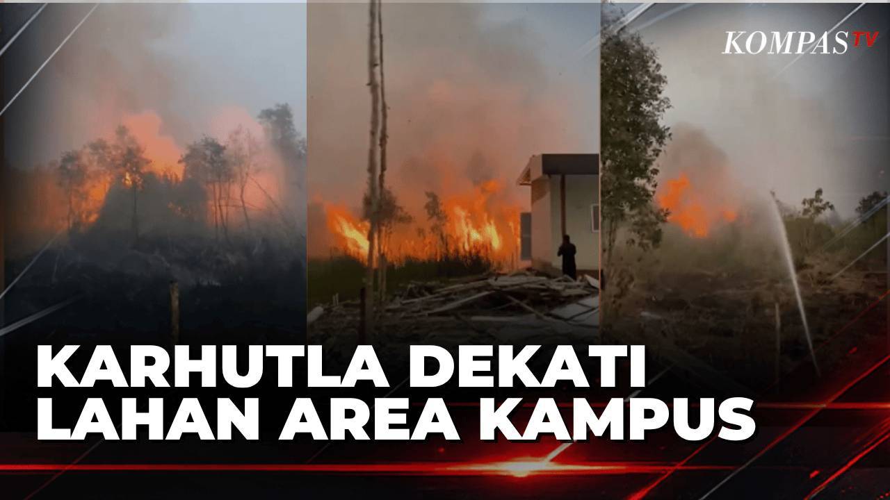 Api Membakar Lahan di Sekitar Kampus Uniska di Kalsel, Tim Damkar ...