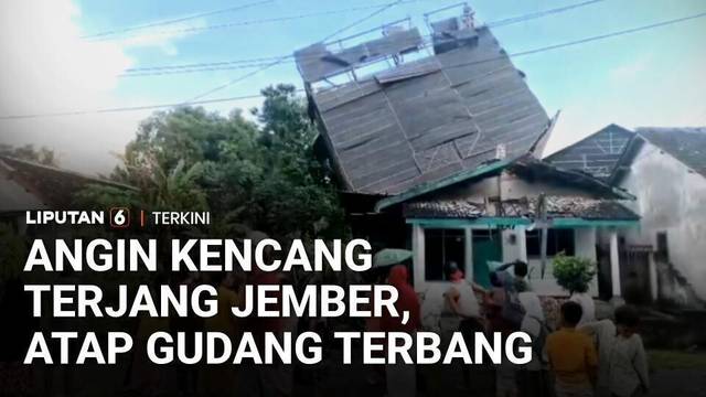 Detik-Detik Angin Kencang Terjang Jember, Atap Gudang Tembakau Terbang Hantam Rumah | Liputan 6