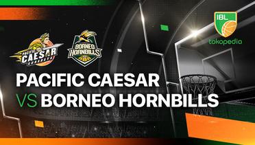 Pacific Caesar Surabaya vs Borneo Hornbills - Full Match | IBL Tokopedia 2024