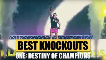 ONE- DESTINY OF CHAMPIONS Highlights - Best KOs & Submissions