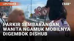 Viral Wanita Ngamuk Saat Mobilnya Digembok Dishub Makassar, Berawal dari Parkir Sembarangan