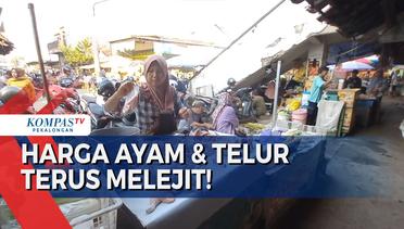 Pasar Tegal: Harga Cabai Turun, Ayam & Telur Naik, Ada Apa?