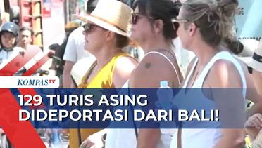 Langgar Peraturan & Adat Istiadat Pulau Dewata, 129 Turis Asing di Bali Dideportasi!
