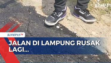 Baru Diperbaiki, Jalan di Lampung Sudah Rusak Lagi!