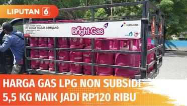Harga LPG Non Subsidi 5,5 Kg Naik dari Rp90 Ribu Jadi Rp120 Ribu Per Kg | Liputan 6