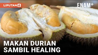 Sensasi Makan Durian Sambil Healing di Kawasan Wisata Bukit Pao