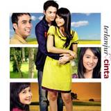 Terlanjur Cinta