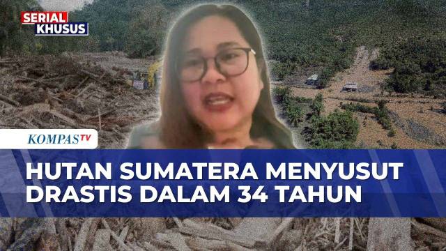 [FULL] Tim Jurnalisme Data Harian Kompas dan Walhi Ungkap Fakta Alih Fungsi Hutan Sumatera