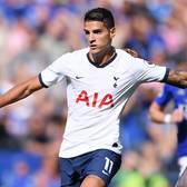 Erik Manuel Lamela
