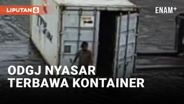 Walah! ODGJ Nyasar Terbawa Kontainer dari Maluku ke Surabaya