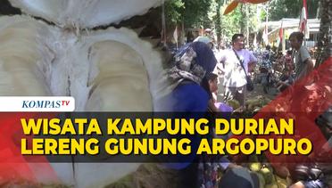 Pesona Wisata Kampung Durian Lereng Gunung Argopuro, Siap Manjakan Para Pengunjung