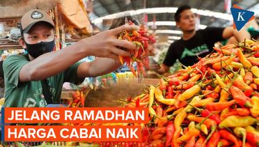 Harga Cabai Naik Jelang Ramadhan