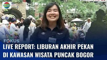 Live Report: Liburan Bersama Binatang Lucu di Kawasan Wisata Puncak Bogor | Fokus
