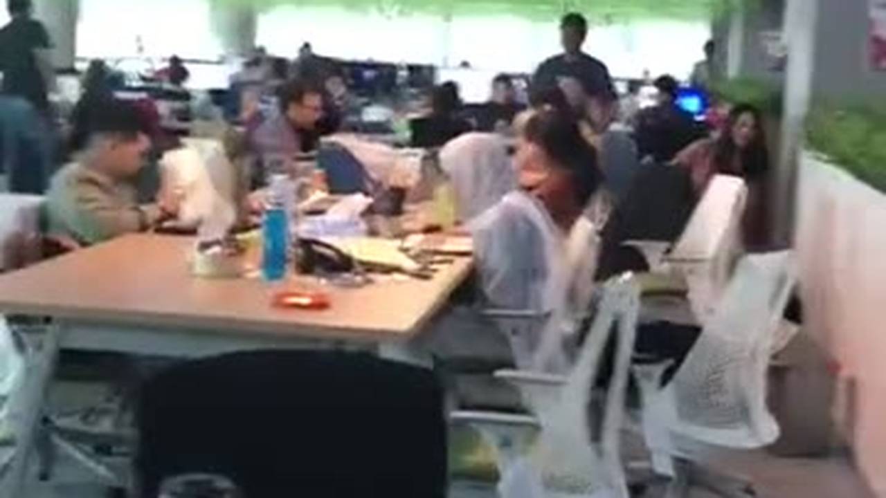 VIDEO-2019-04-05-16-11-29 - Shorts