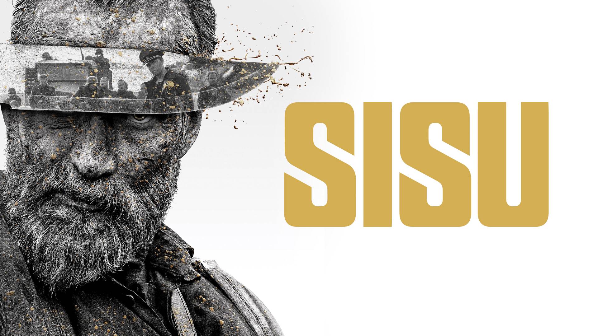 Sisu