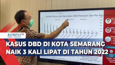 Kasus DBD di Kota Semarang Naik Tiga Kali Lipat di Tahun 2022