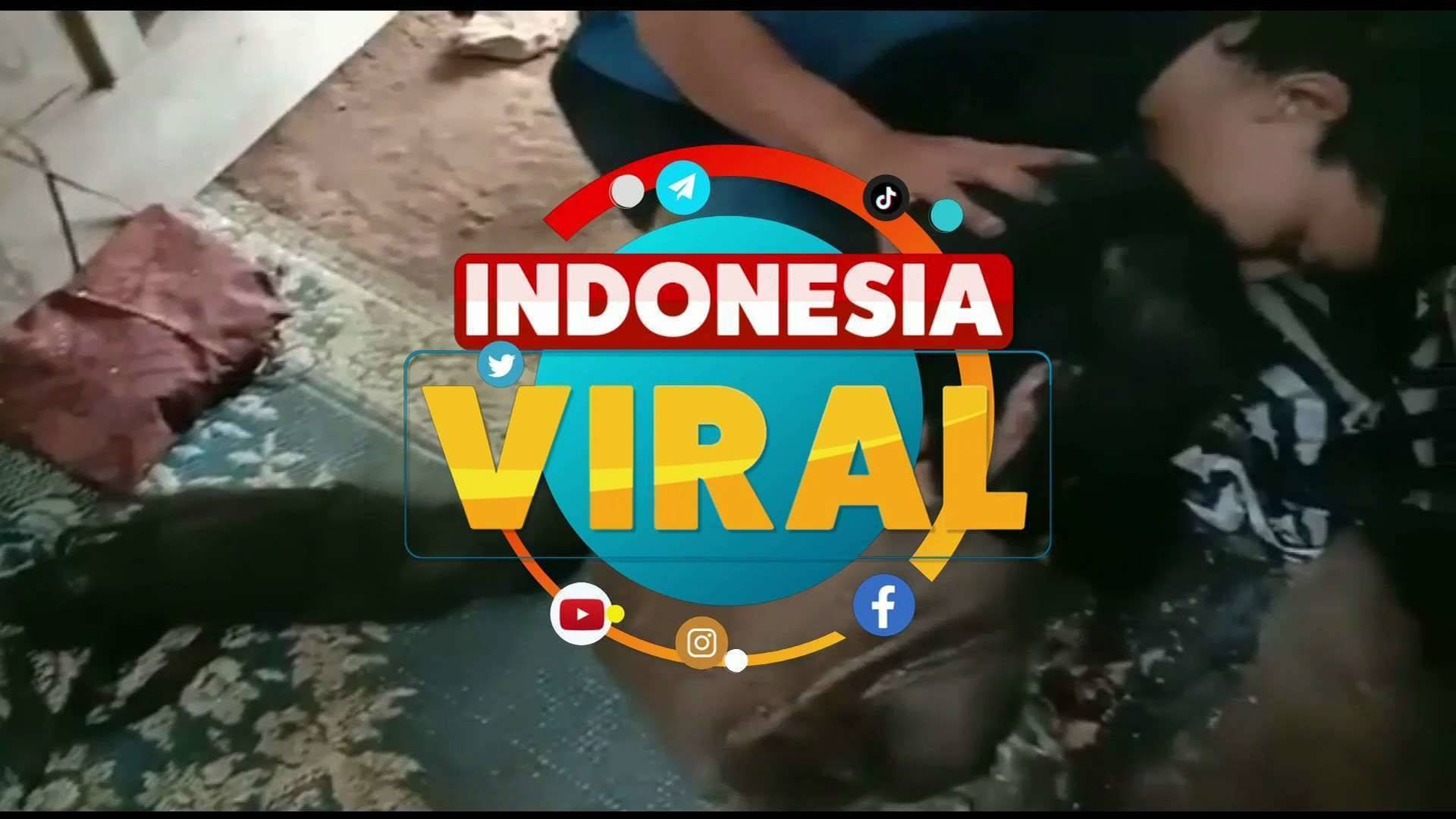 Indonesia Viral - 02/02/20