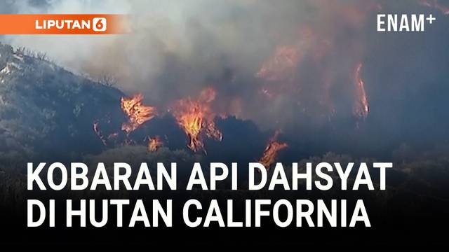 Kebakaran Hutan di California Paksa Ribuan Warga Mengungsi