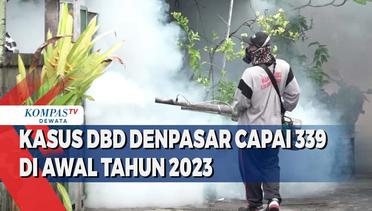 Kasus DBD Denpasar Capai 339 Di Awal Tahun 2023