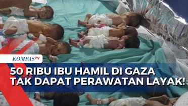 Fasilitas Terbatas Akibat Perang, Lebih dari 50 Ribu Ibu Hamil di Gaza Tak Dapat Perawatan Layak!
