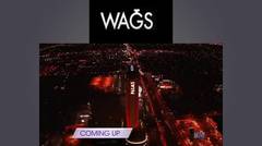 WAGS Season 1 Episode 1