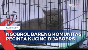 Mengenal Lebih Dekat Komunitas Pecinta Kucing D'Jaboers..!