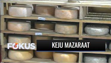 Mazaraat Cheese, Keju Lokal Asal Yogyakarta yang Tembus Pasar Mancanegara | Fokus