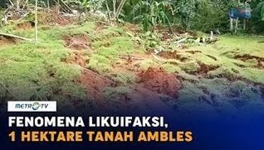 Fenomena Likuifaksi di Kebumen, 1 Hektare Tanah Ambles