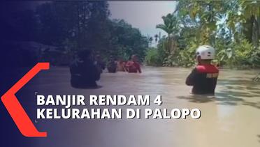 Sungai Meluap, 4 Kelurahan di Wilayah Kota Palopo Direndam Banjir