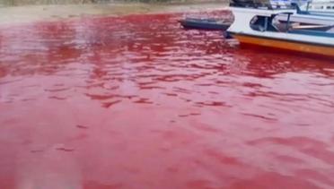 Kilas Indonesia: Air Laut Kepulauan Banda Berubah Merah Darah