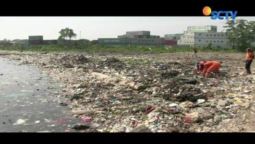 Tiga Hari Dibersihkan, Sampah Muara Angke Masih Menumpuk - Liputan6 Siang SCTV