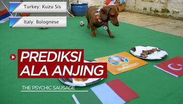Anjing "The Psychic Sausage" Buat Prediksi Italia Vs Turki di Laga Pembuka Euro 2020, Apa Hasilnya?